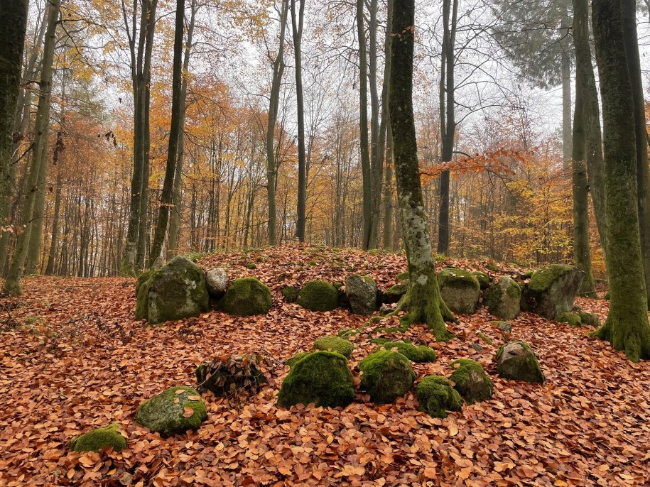 Jeden z kurhanów w Uniradzach na Kaszubach /Kuba Kaługa /RMF24