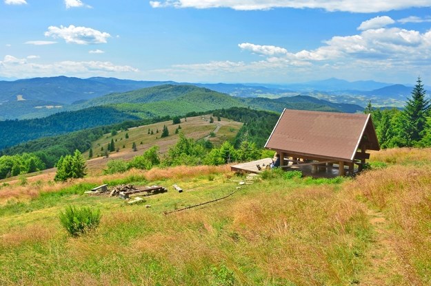 Jeden z małopolskich rezerwatów /shutterstock /Shutterstock