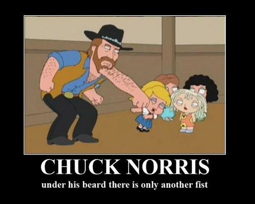 Jeden z memów o Chucku Norrisie. /materiały prasowe