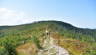 Jeden z najpiękniejszych jesiennych szlaków. Poradzą sobie nawet amatorzy