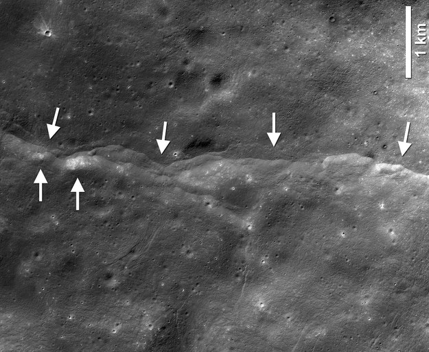 Jeden z około 3500 uskoków tektonicznych na księżycu, zobrazowanych przez sondę LRO /LROC NAC frame M190844037LR; NASA/GSFC/Arizona State University/Smithsonian /Materiały prasowe