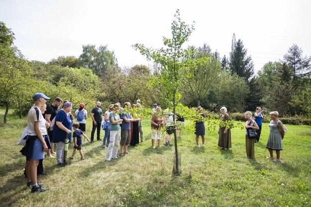 Jeden z wiosennych spacerów po łódzkim Ogrodzie Botanicznym /materiały prasowe/materiały zewnętrzne /Materiały prasowe