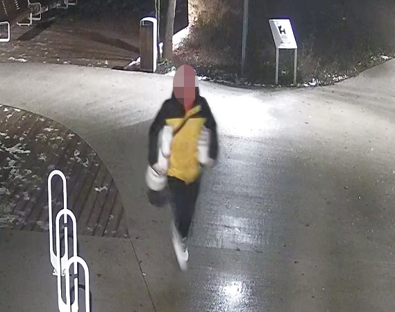 Jeden ze sprawców z koniem szachowym pod pachą /KWP Kraków /Policja