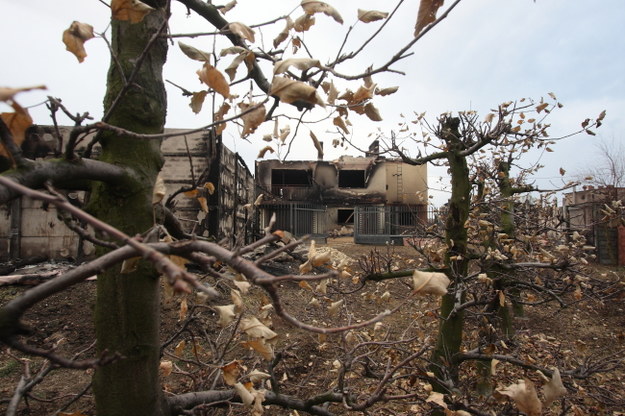 Jeden ze zniszczonych domów w Jankowie Przygodzkim /Tomasz Wojtasik /PAP