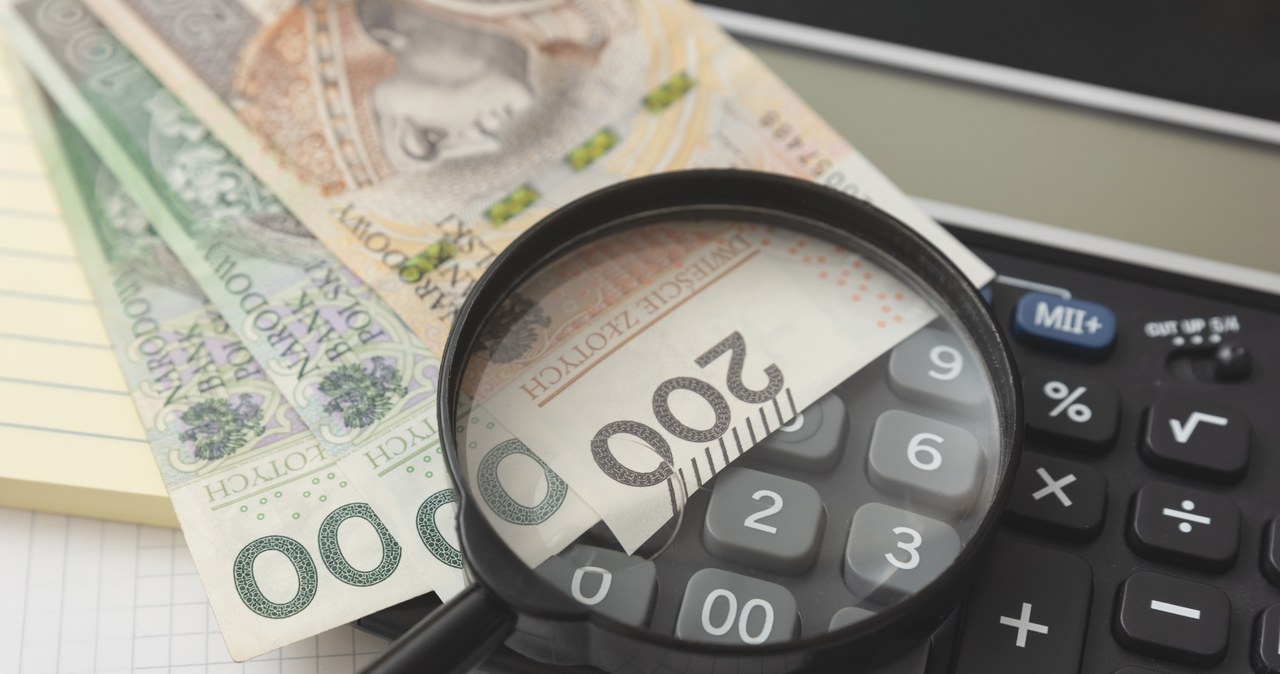 Jedna czwarta naruszeń jakie wykryła PIP dotyczyła wynagrodzeń dla pracowników. /123rf.com /123RF/PICSEL
