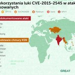 Jedna luka wykorzystywana do cyberataków na całym świecie