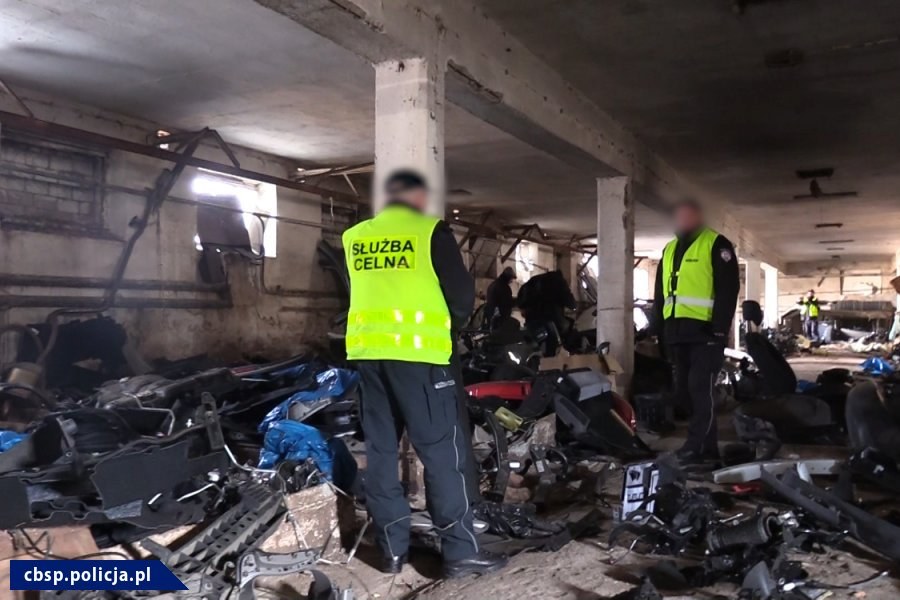 Jedna z dziupli /Policja