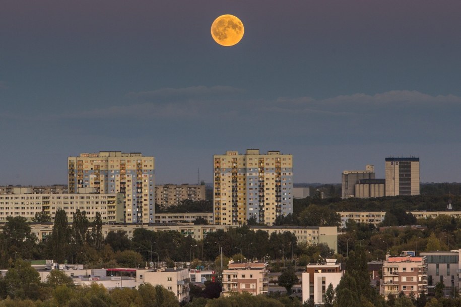 Jedna z faz zaćmienia Księżyca widziana nad Poznańskimi Ratajami /Łukasz Ogrodowczyk /PAP