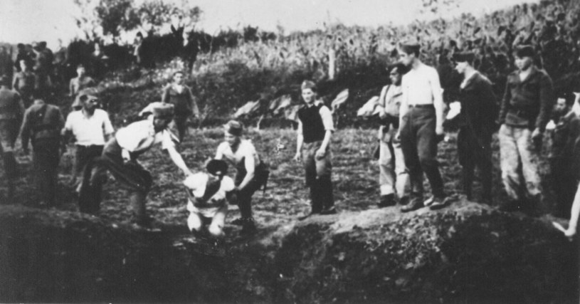 Jedna z metod eksterminacji Serbów. Więźniów wrzucano do masowego grobu i zakopywano żywcem. Świadkowie zeznawali, że o szczęściu mógł mówić ten, kto zmarł zanim spadł na dół /Wikimedia Commons /domena publiczna