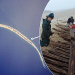 wyspa Jedna z najdziwniejszych wysp świata i wielkie odkrycie. Tajemniczy wrak