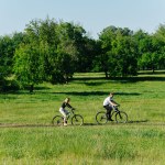 Roztocze Jedna z najpiękniejszych tras rowerowych w Polsce. Ma ponad 250 km