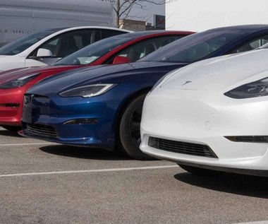 Una de las mayores empresas de alquiler de coches abandona los coches eléctricos