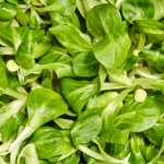 Jedna z najzdrowszy sałat, a tak rzadko jemy. Oczyszcza organizm, wspomaga trawienie i ma ogrom witamin