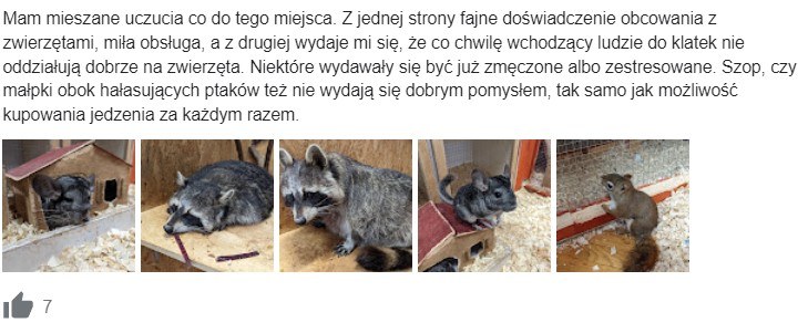 Jedna z opinii na temat "interaktywnego zoo" /opinie z Google  /materiał zewnętrzny