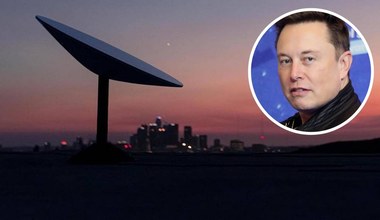 Jednak się przydał? Z internetu Elona Muska korzystają dziennie tysiące Ukraińców