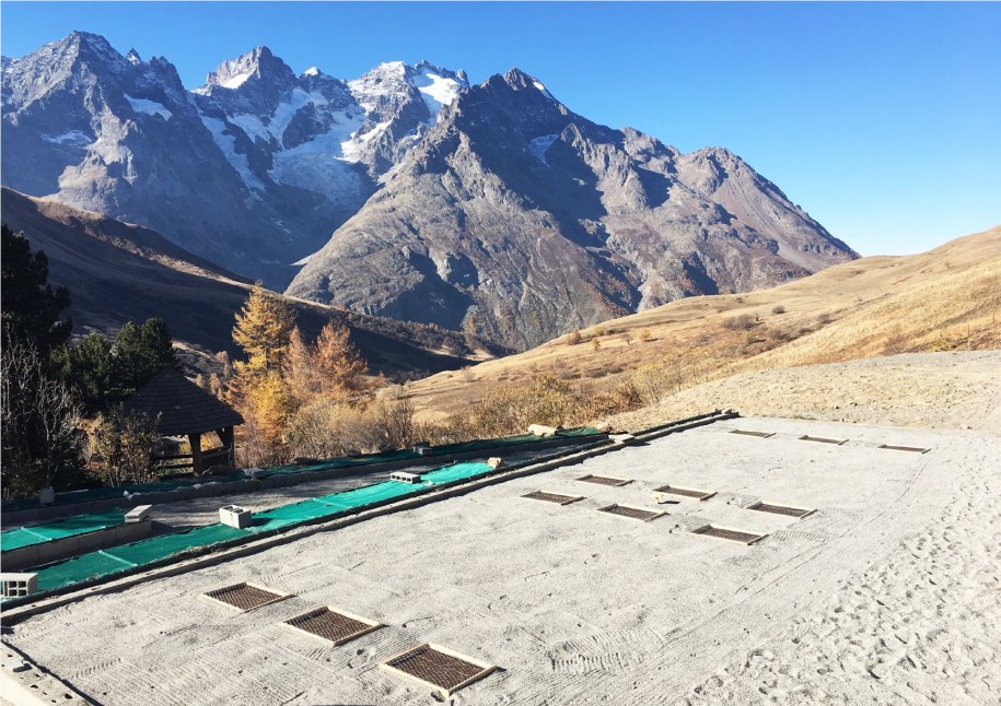 Jedno z poletek doświadczalnych, w Alpach /Jean-Gabriel Valay, Jardin du Lautaret /Materiały prasowe