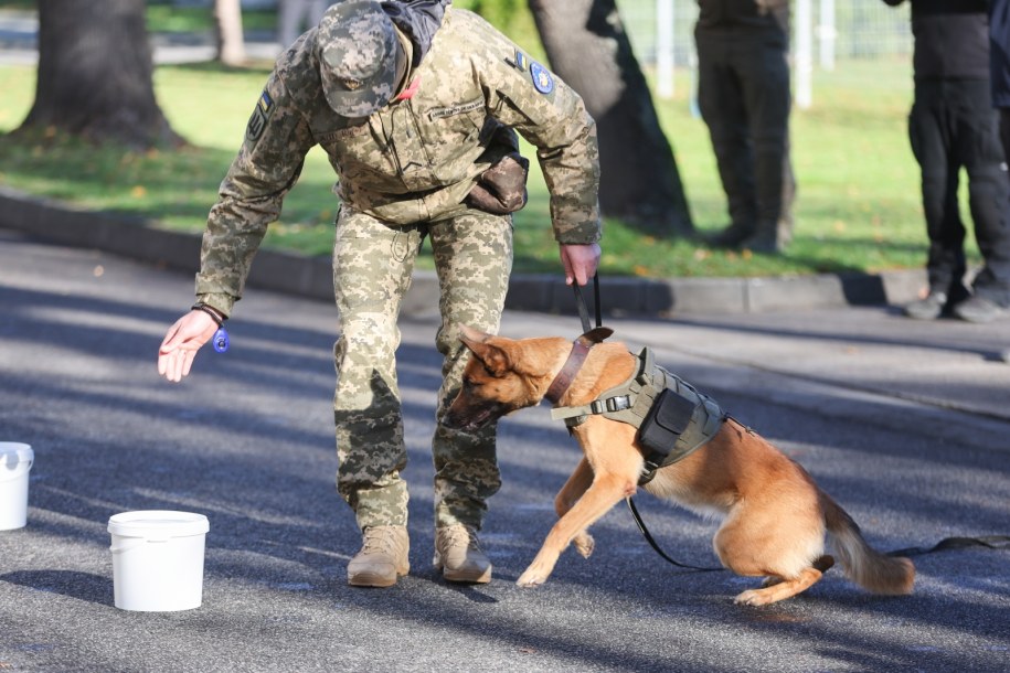 Jednostka Karpackiego Oddziału Straży Granicznej w Nowym Sączu. Przekazanie psów dla ukraińskiej armii /Grzegorz Momot /PAP