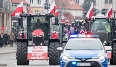 Jednoznaczna deklaracja ws. umowy z Mercosur. Na szali "suwerenność europejskiego rolnictwa"