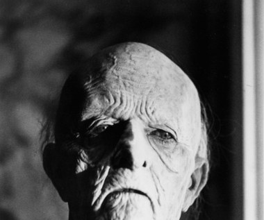 Jednym z najbardziej pamiętnych filmowych wcieleń Davida Bowiego pozostaje rola w wampirycznym sci-fi Ridleya Scotta "Zagadka nieśmiertelności" (1983).  Wokalista zagrał młodego (tylko 200-letniego) wampira, który nagle zaczyna się niespodziewanie szybko starzeć.