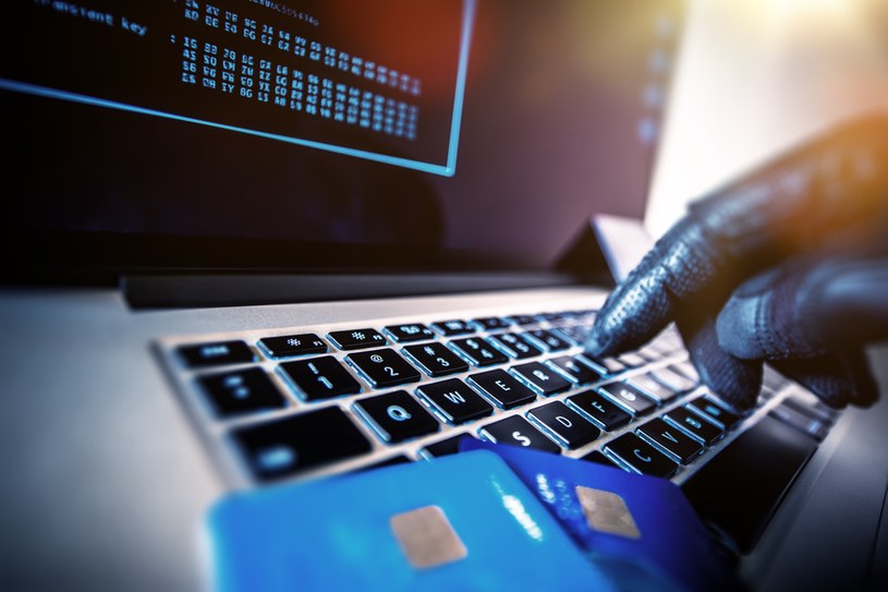 Jednym z najbardziej popularnych towarów w ciemnej stronie sieci są dane skradzionych kart kredytowych /123RF/PICSEL
