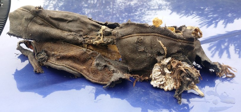 Jednym z najciekawszych przedmiotów i jedynym bezpośrednio związanym z załogą są pozostałości oficerskiej czapki Luftwaffe /Odkrywca