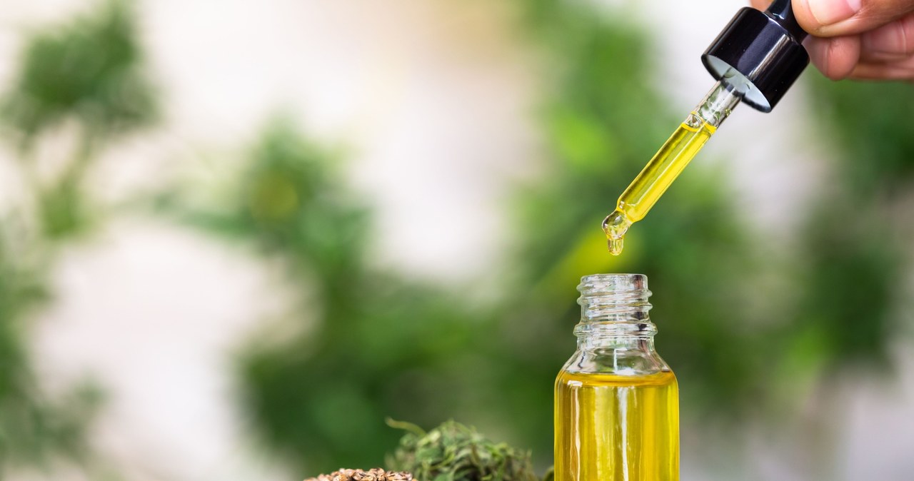 Jednym z produktów, jest olejek chętnie wykorzystywany w medycynie i kosmetyce /123RF/PICSEL