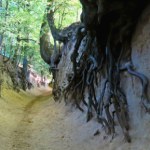 Jedyna taka kraina w Polsce i Europie. Nie spotkasz tam tłumów turystów