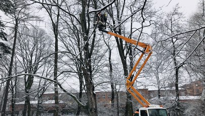 Jedyny taki buk w Łodzi - ocalony?