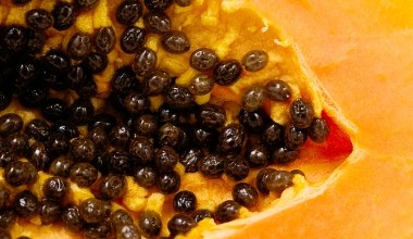 Jedz 2 razy w tygodniu te owoce. Włosy będą ładniejsze i przestaną wypadać