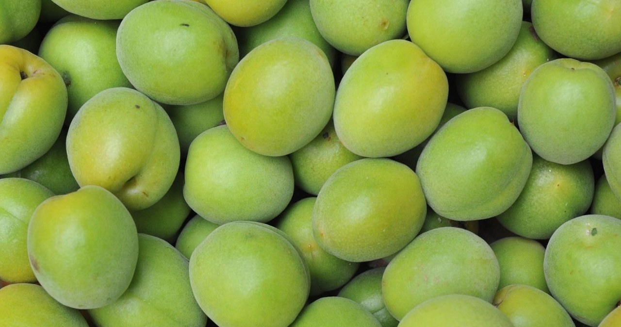 Jedzenie tych owoców pomaga odżywić skórę, uregulować ciśnienie i trawienie. /Canva Pro