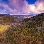 Jedziesz w Bieszczady? Sprawdź tę atrakcję, zabawa dla całej rodziny