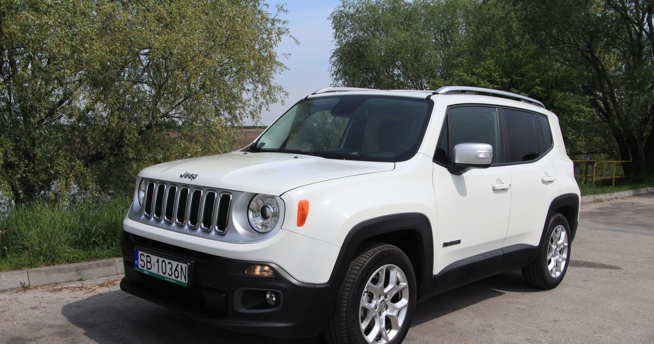 Jeep Renegade okazał się motorem sprzedaży amerykańskiej marki /INTERIA.PL