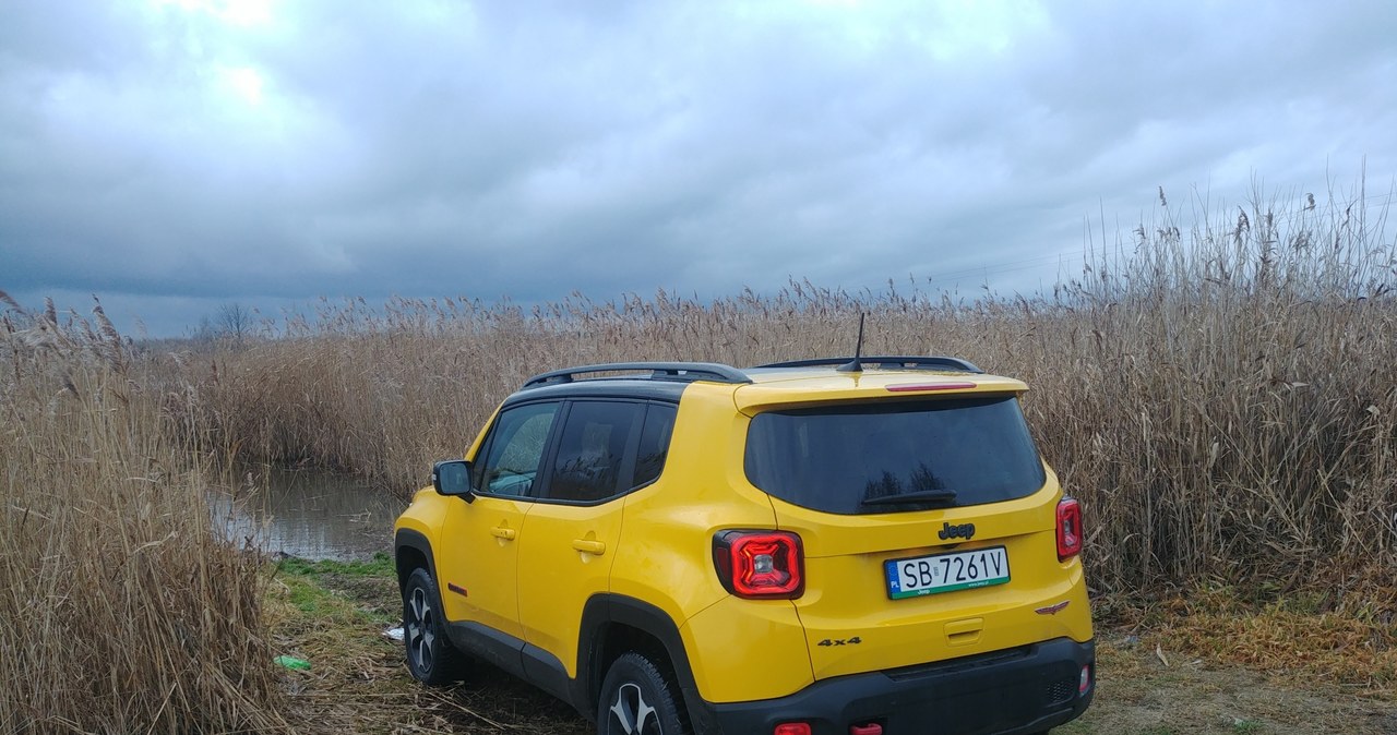 Jeep Renegade Trailhawk /INTERIA.PL