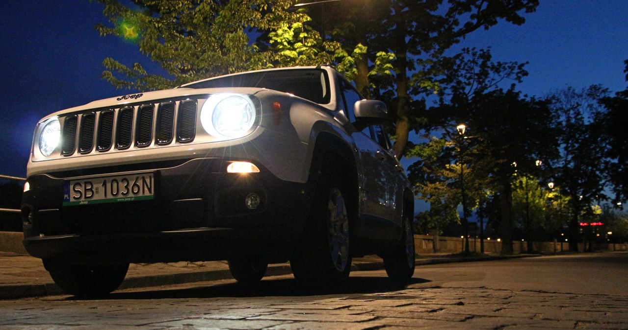 Jeep Renegade /Michał Domański /INTERIA.PL