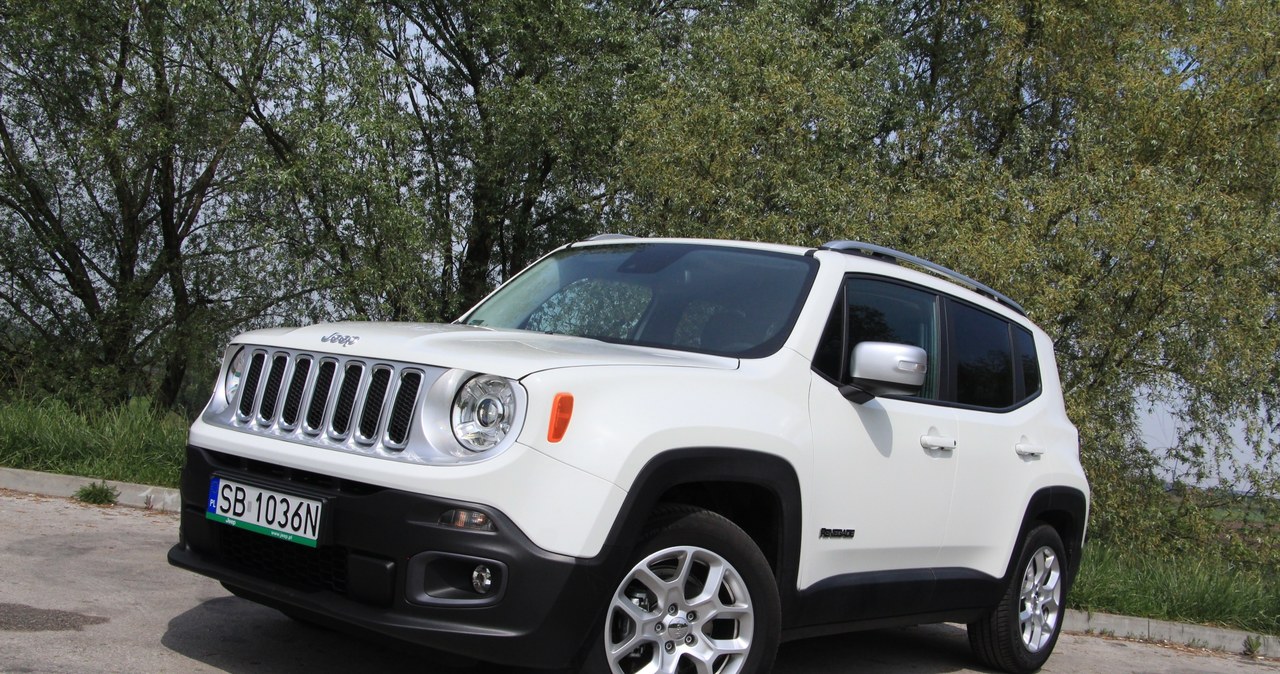 Jeep Renegade /INTERIA.PL