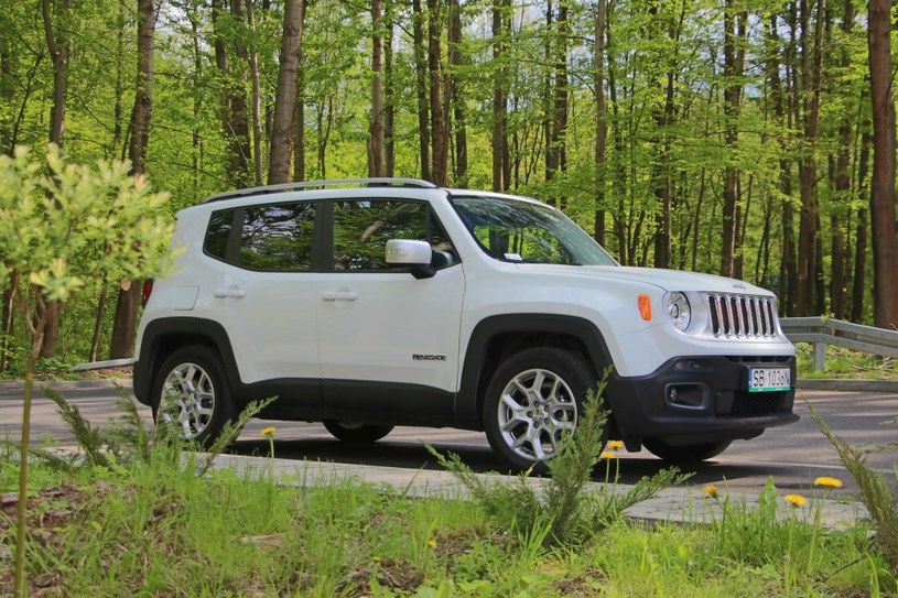 Jeep Renegade /Michał Domański /INTERIA.PL