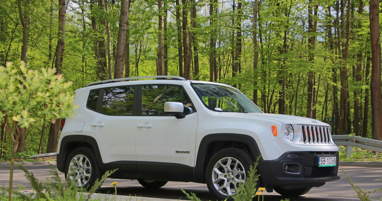 Jeep Renegade /Michał Domański /INTERIA.PL