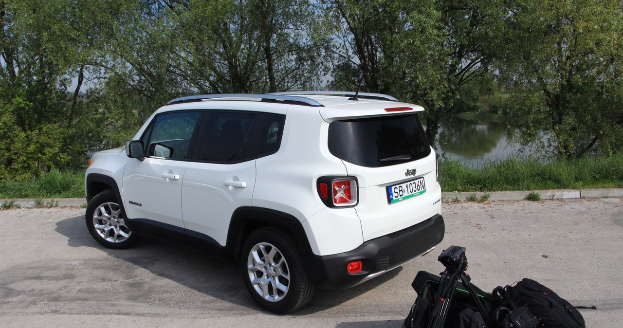 Jeep Renegade /Michał Domański /INTERIA.PL