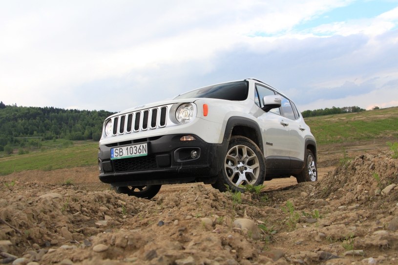 Jeep Renegade /Michał Domański /INTERIA.PL