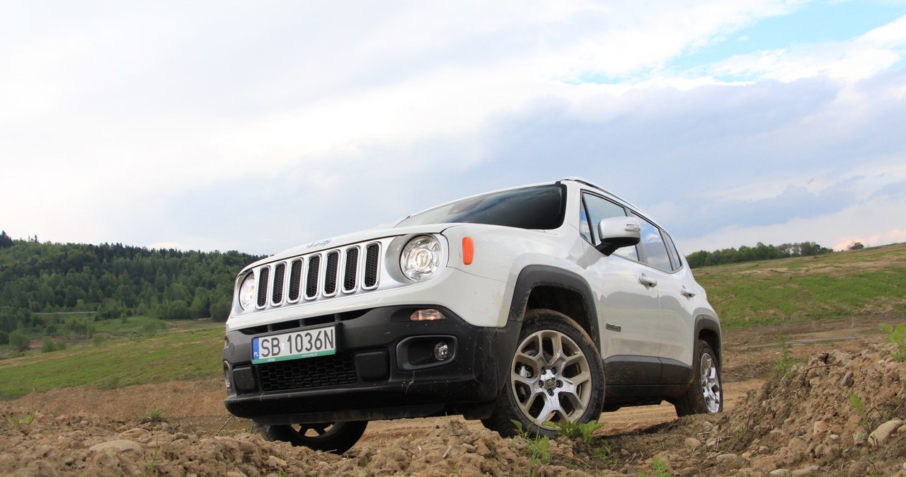 Jeep Renegade /Michał Domański /INTERIA.PL