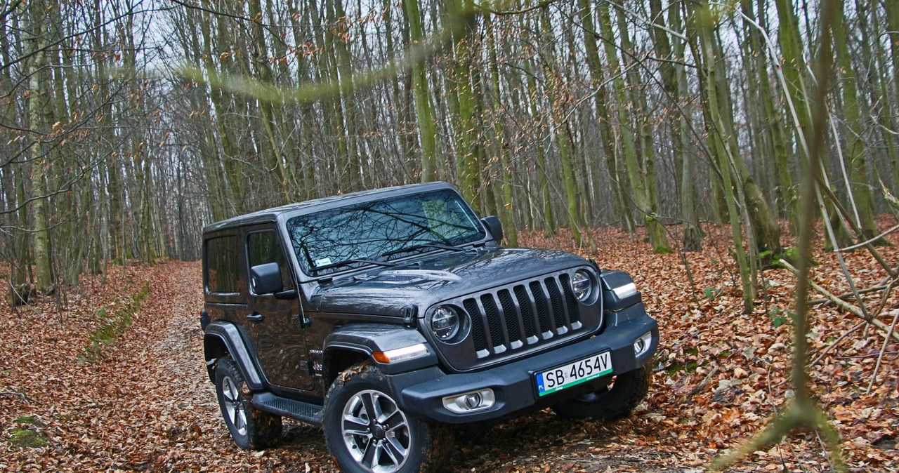 Jeep Wrangler Sahara /INTERIA.PL