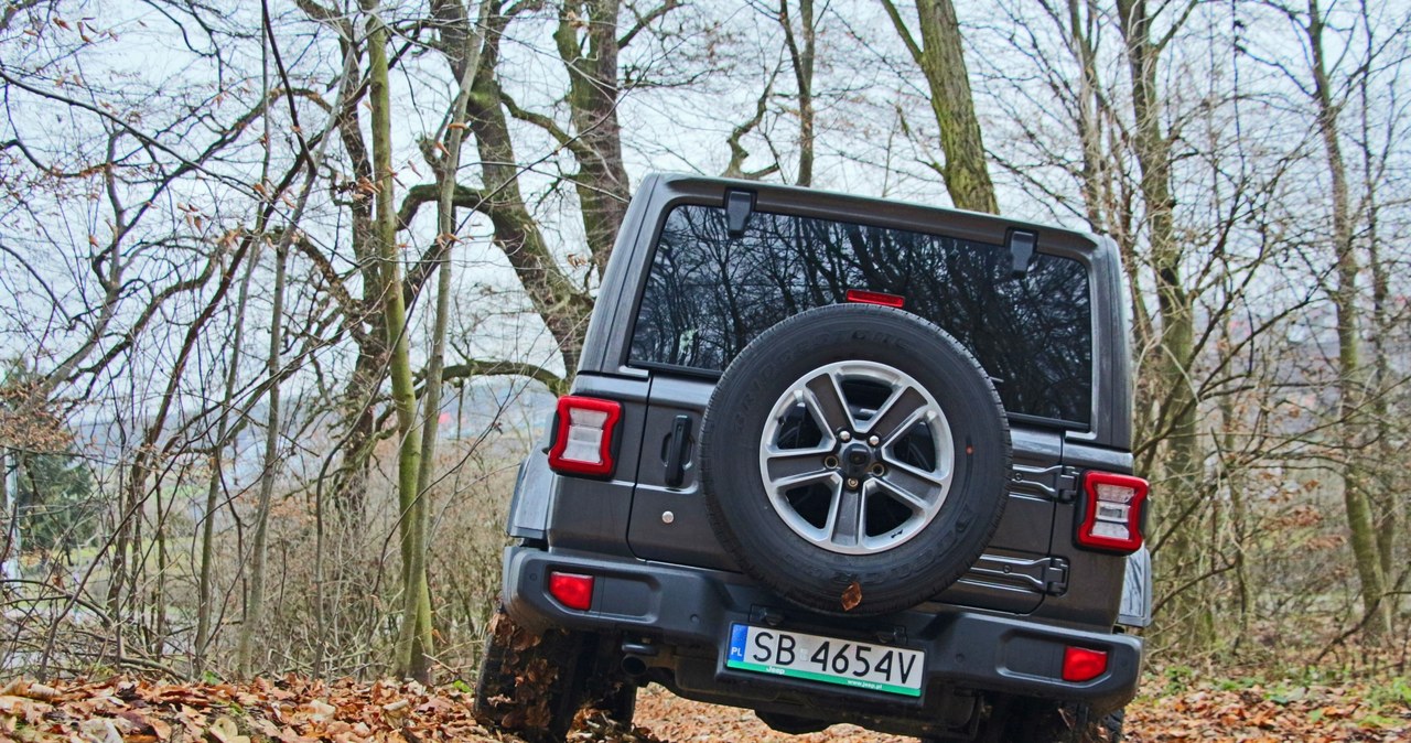 Jeep Wrangler Sahara /INTERIA.PL