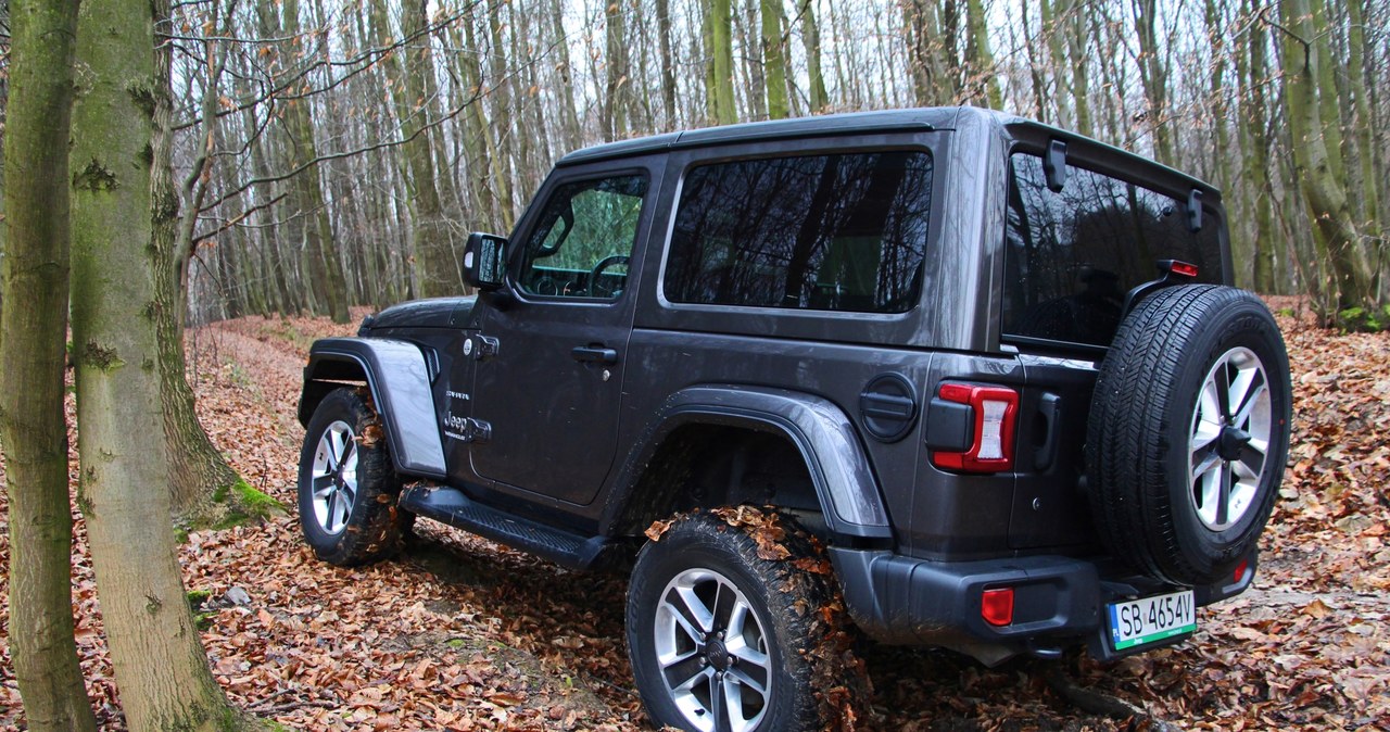 Jeep Wrangler Sahara /INTERIA.PL