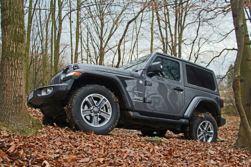 Jeep Wrangler Sahara /INTERIA.PL