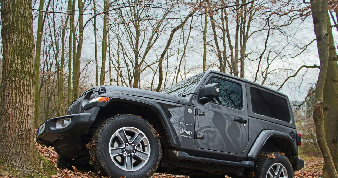 Jeep Wrangler Sahara /INTERIA.PL