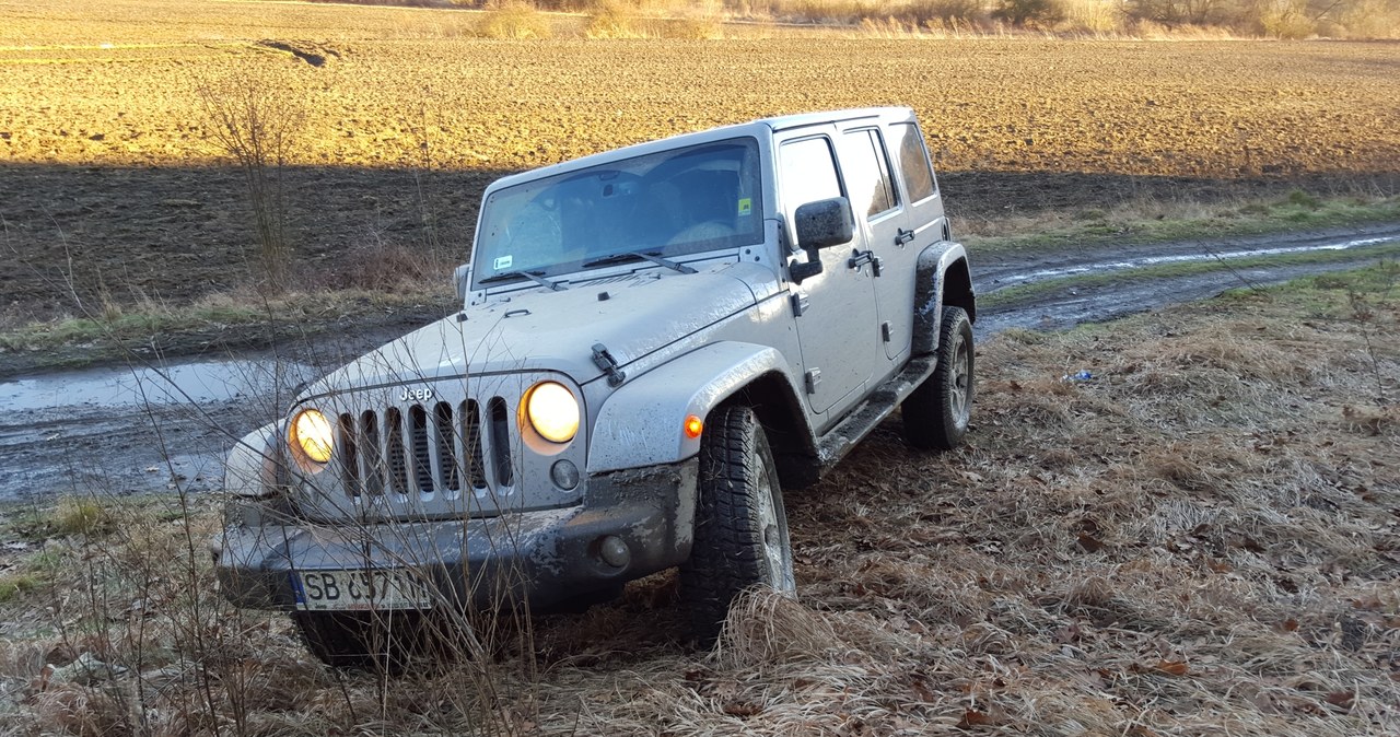 Jeep wrangler /INTERIA.PL