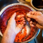 Jej owoce to mała apteka. Pomagają na wysoki cukier, dbają o serce, oczyszczają organizm