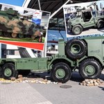 Jelcz, Borsuk, Żmija. Polskie pojazdy wojskowe to hit na MSPO 2023