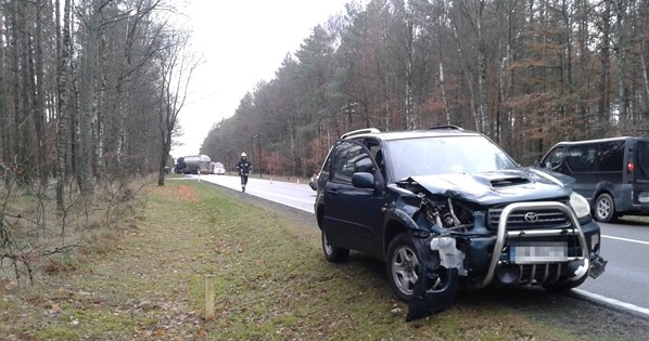 Jeleń został potrącony przez RAV4 /Informacja prasowa