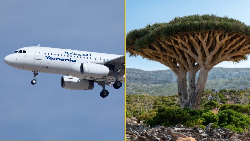 Utknęli na oceanicznej wyspie. 609 turystów ewakuowanych z Sokotry